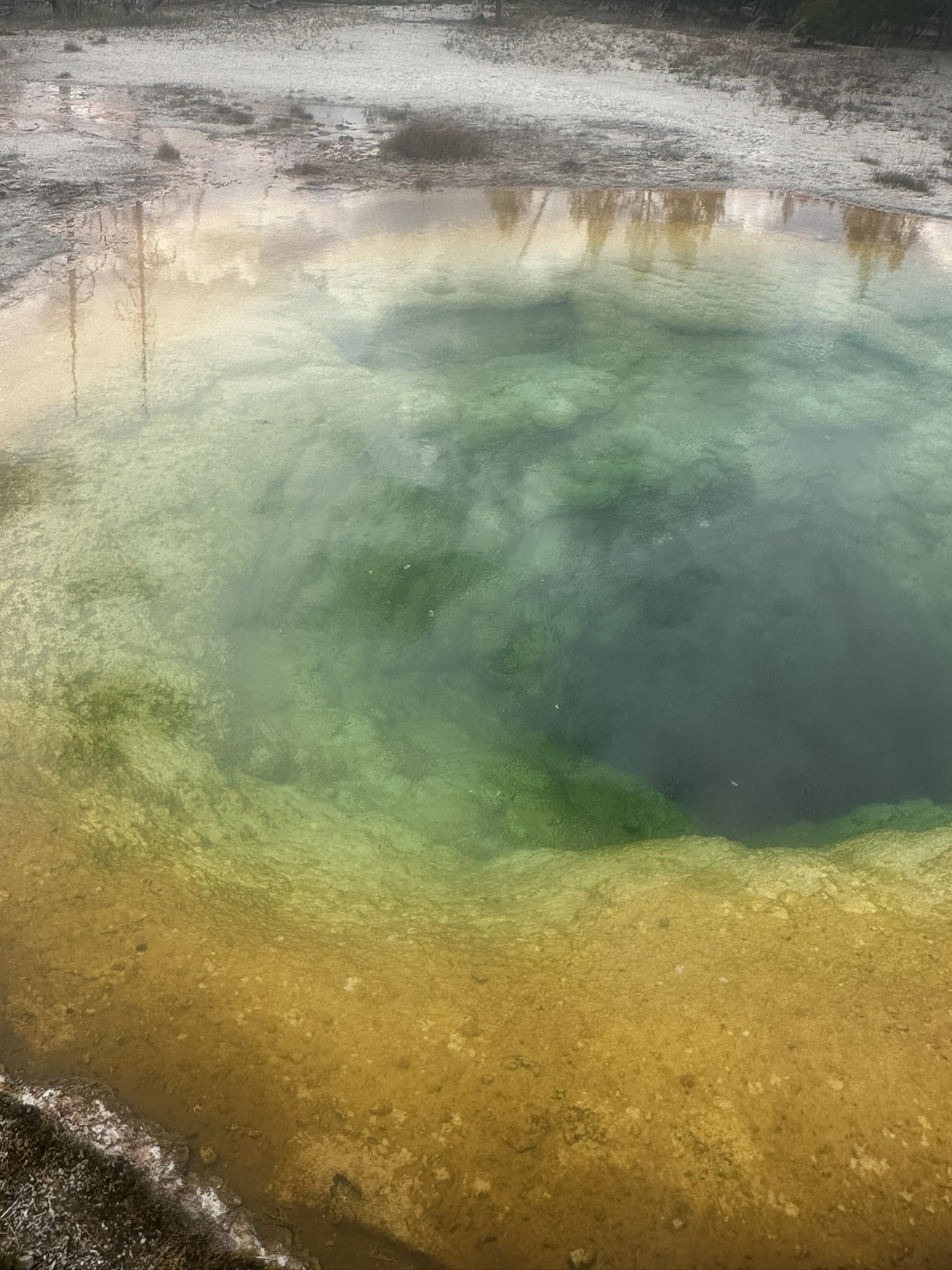 Yellowstone And Grand Teton National Parks - Image 98